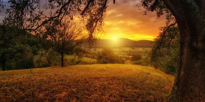 PASSAGE 20: Why Should We Protect the Environment?