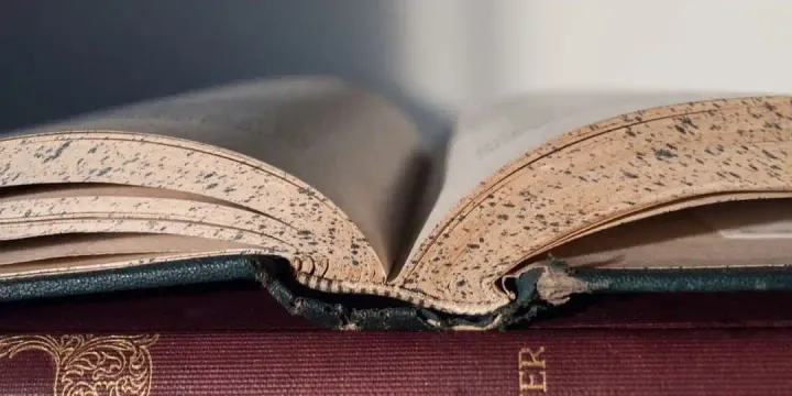 PASSAGE 2: Learning