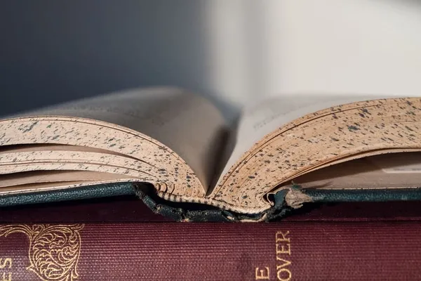 PASSAGE 2: Learning