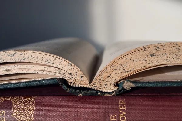 PASSAGE 2: Learning