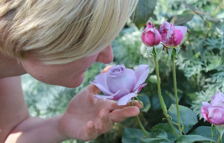 PASSAGE 11: Caring for the Five Senses