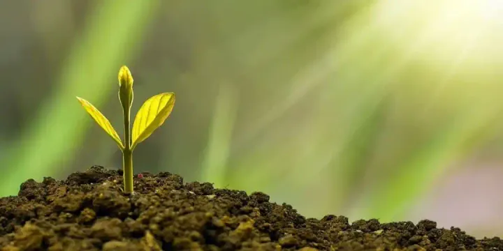 PASSAGE 1: Success in Life