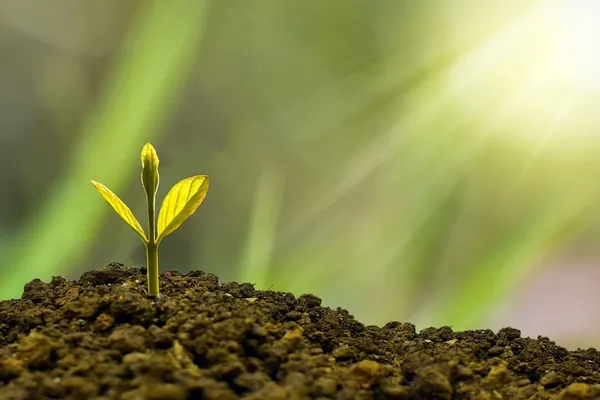 PASSAGE 1: Success in Life